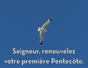 colombe-Pentecôte